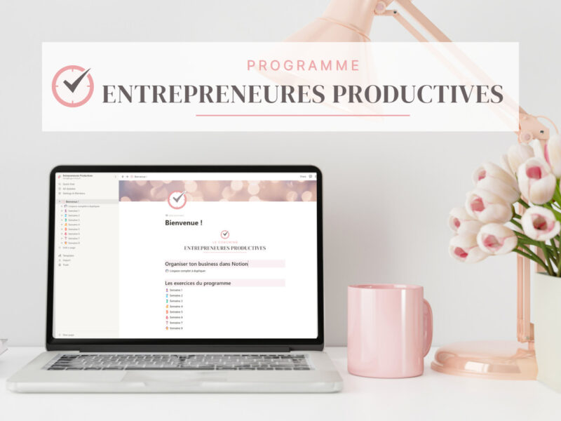 Entrepreneures Productives - Visuel du programme